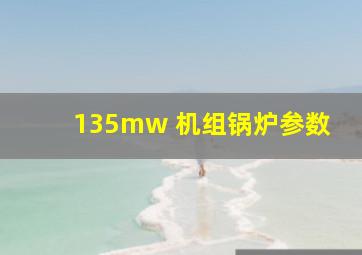 135mw 机组锅炉参数